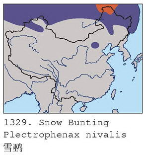 雪鹀的地理分布图